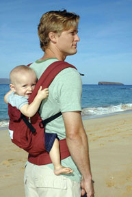 Cranberry-Carrier-on-the-Beach-smaller.jpg
